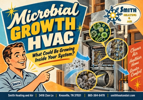 HVAC Microbial Growth